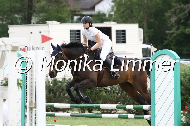 105M0457_All Or Nothing_Spring_A.JPG